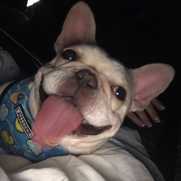 Meet your Posher, Valerie - Picture 3 of 6